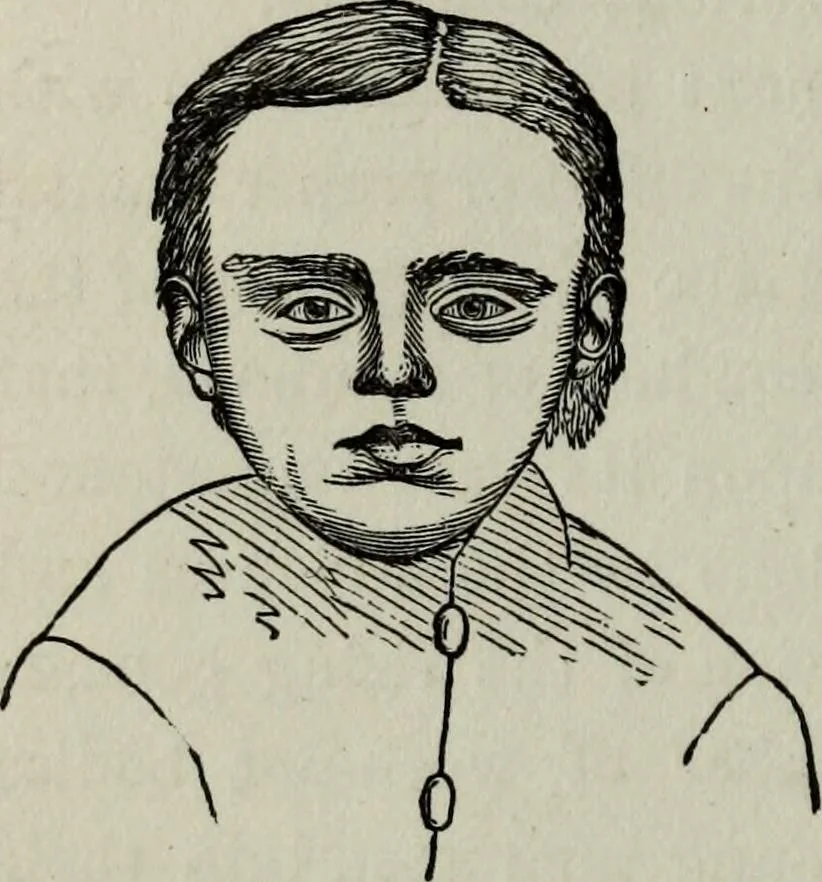 An illustration from Nature's revelations of character, or, Physiognomy illustrated : a description of the mental, moral and volitive dispositions of mankind, as manifested in the human form and countenance, 1887, leaf 311