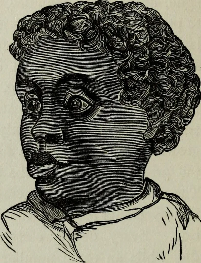 An illustration from Nature's revelations of character, or, Physiognomy illustrated : a description of the mental, moral and volitive dispositions of mankind, as manifested in the human form and countenance, 1887, leaf 311