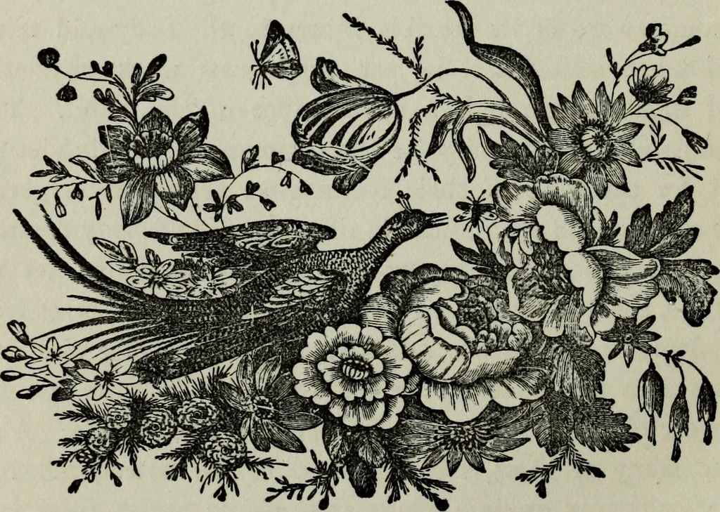 An illustration from Nature's revelations of character, or, Physiognomy illustrated : a description of the mental, moral and volitive dispositions of mankind, as manifested in the human form and countenance, 1887, leaf 323