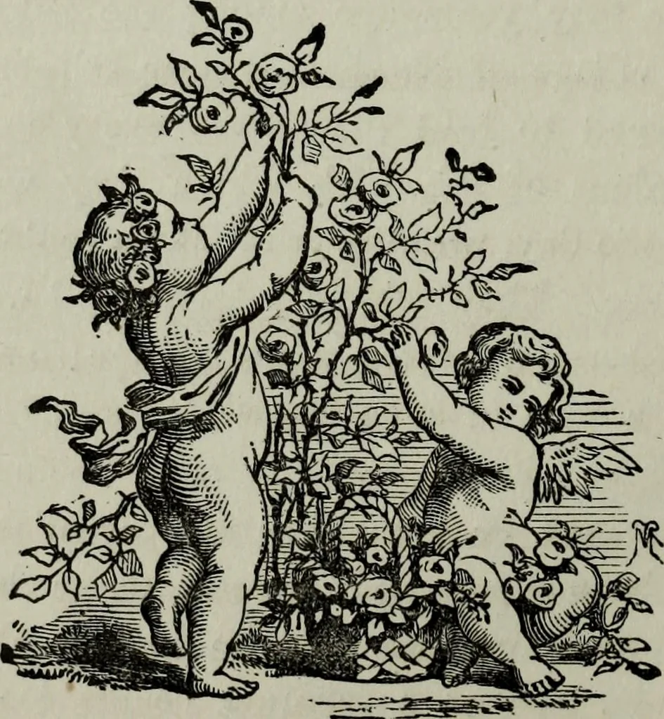 An illustration from Nature's revelations of character, or, Physiognomy illustrated : a description of the mental, moral and volitive dispositions of mankind, as manifested in the human form and countenance, 1887, leaf 367