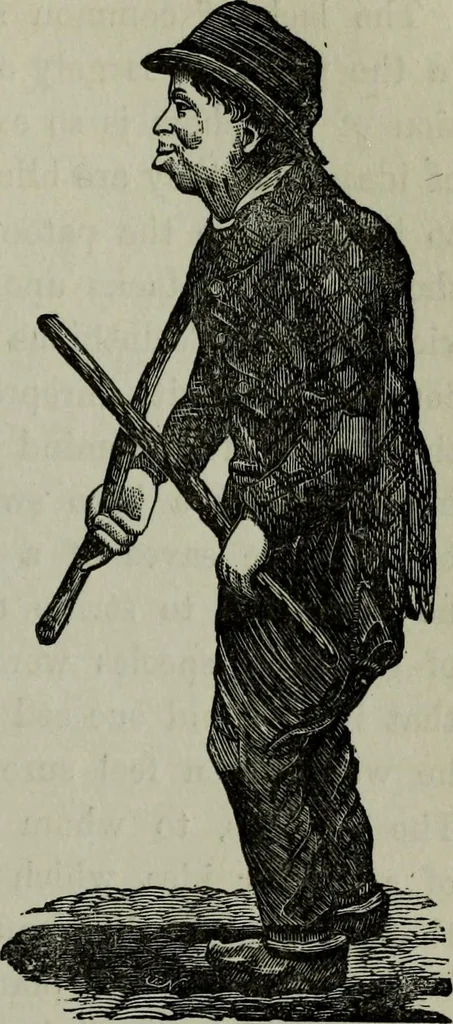 An illustration from Nature's revelations of character, or, Physiognomy illustrated : a description of the mental, moral and volitive dispositions of mankind, as manifested in the human form and countenance, 1887, leaf 378