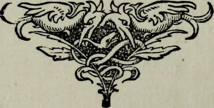 An illustration from Nature's revelations of character, or, Physiognomy illustrated : a description of the mental, moral and volitive dispositions of mankind, as manifested in the human form and countenance, 1887, leaf 379