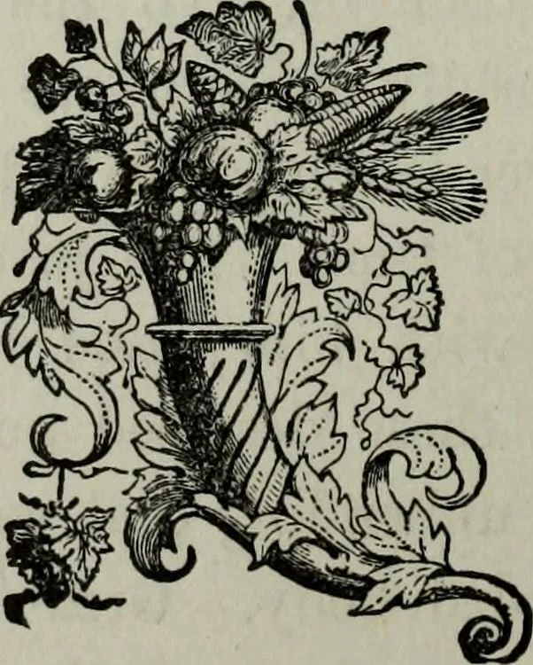 An illustration from Nature's revelations of character, or, Physiognomy illustrated : a description of the mental, moral and volitive dispositions of mankind, as manifested in the human form and countenance, 1887, leaf 385
