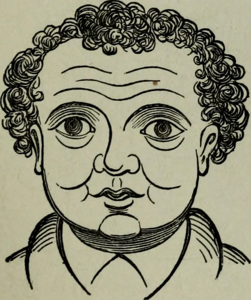An illustration from Nature's revelations of character, or, Physiognomy illustrated : a description of the mental, moral and volitive dispositions of mankind, as manifested in the human form and countenance, 1887, leaf 388