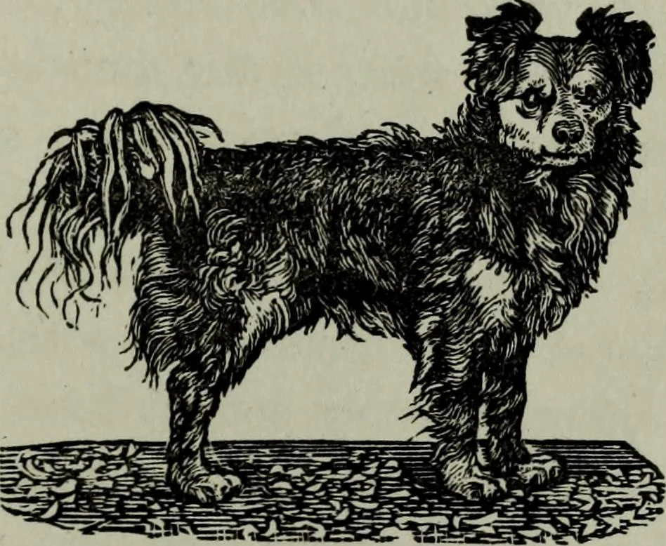 An illustration from Nature's revelations of character, or, Physiognomy illustrated : a description of the mental, moral and volitive dispositions of mankind, as manifested in the human form and countenance, 1887, leaf 392
