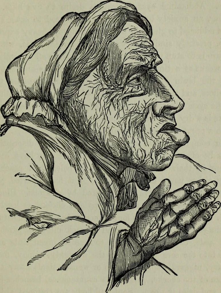 An illustration from Nature's revelations of character, or, Physiognomy illustrated : a description of the mental, moral and volitive dispositions of mankind, as manifested in the human form and countenance, 1887, leaf 446