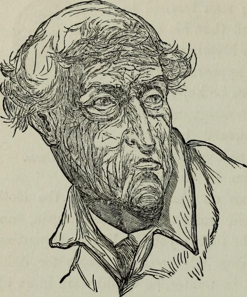 An illustration from Nature's revelations of character, or, Physiognomy illustrated : a description of the mental, moral and volitive dispositions of mankind, as manifested in the human form and countenance, 1887, leaf 449