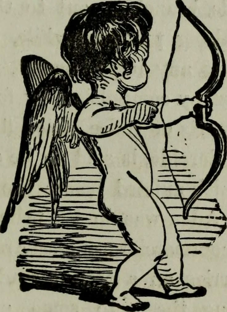 An illustration from Nature's revelations of character, or, Physiognomy illustrated : a description of the mental, moral and volitive dispositions of mankind, as manifested in the human form and countenance, 1887, leaf 474