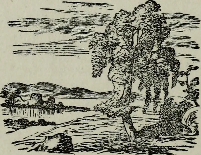 An illustration from Nature's revelations of character, or, Physiognomy illustrated : a description of the mental, moral and volitive dispositions of mankind, as manifested in the human form and countenance, 1887, leaf 493