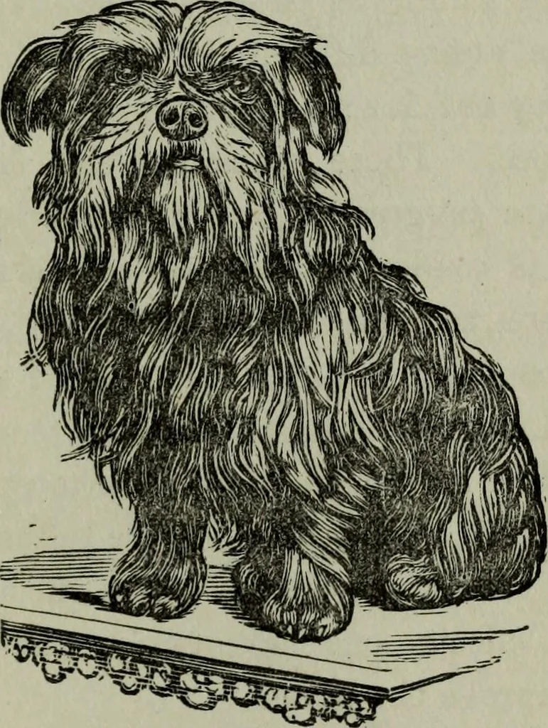 An illustration from Nature's revelations of character, or, Physiognomy illustrated : a description of the mental, moral and volitive dispositions of mankind, as manifested in the human form and countenance, 1887, leaf 510