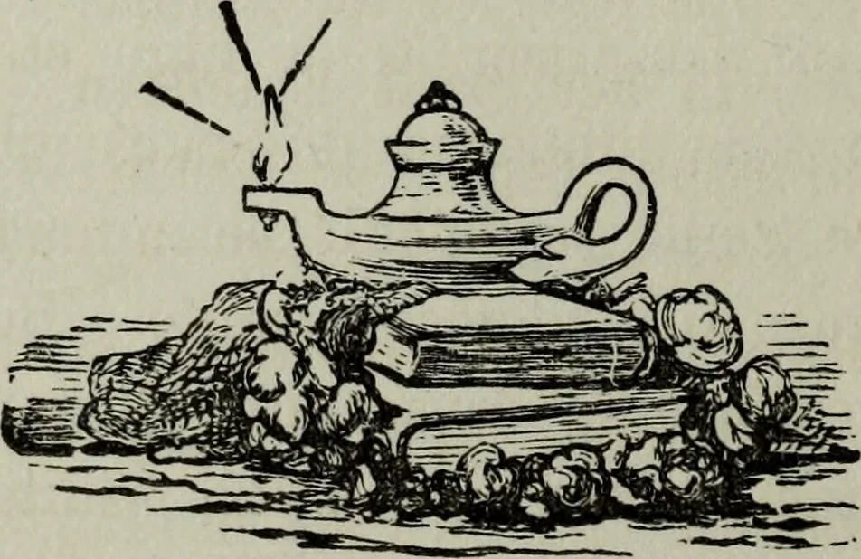 An illustration from Nature's revelations of character, or, Physiognomy illustrated : a description of the mental, moral and volitive dispositions of mankind, as manifested in the human form and countenance, 1887, leaf 513