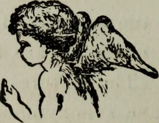 An illustration from Nature's revelations of character, or, Physiognomy illustrated : a description of the mental, moral and volitive dispositions of mankind, as manifested in the human form and countenance, 1887, leaf 525