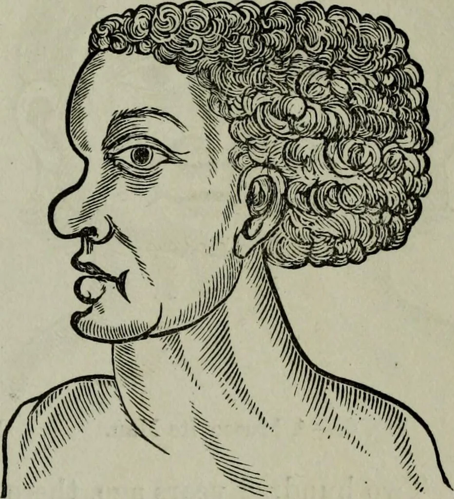 An illustration from Nature's revelations of character, or, Physiognomy illustrated : a description of the mental, moral and volitive dispositions of mankind, as manifested in the human form and countenance, 1887, leaf 538