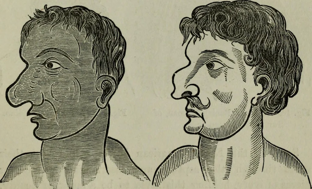 An illustration from Nature's revelations of character, or, Physiognomy illustrated : a description of the mental, moral and volitive dispositions of mankind, as manifested in the human form and countenance, 1887, leaf 542
