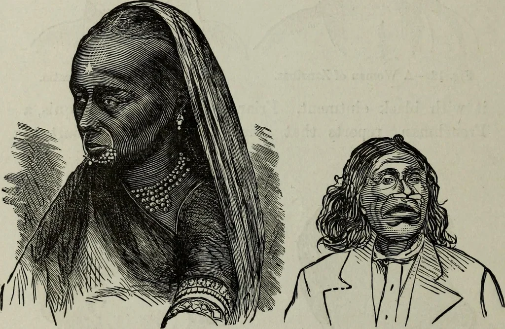 An illustration from Nature's revelations of character, or, Physiognomy illustrated : a description of the mental, moral and volitive dispositions of mankind, as manifested in the human form and countenance, 1887, leaf 543