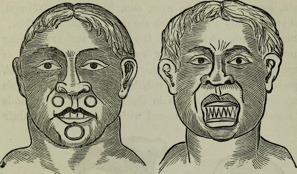 An illustration from Nature's revelations of character, or, Physiognomy illustrated : a description of the mental, moral and volitive dispositions of mankind, as manifested in the human form and countenance, 1887, leaf 546