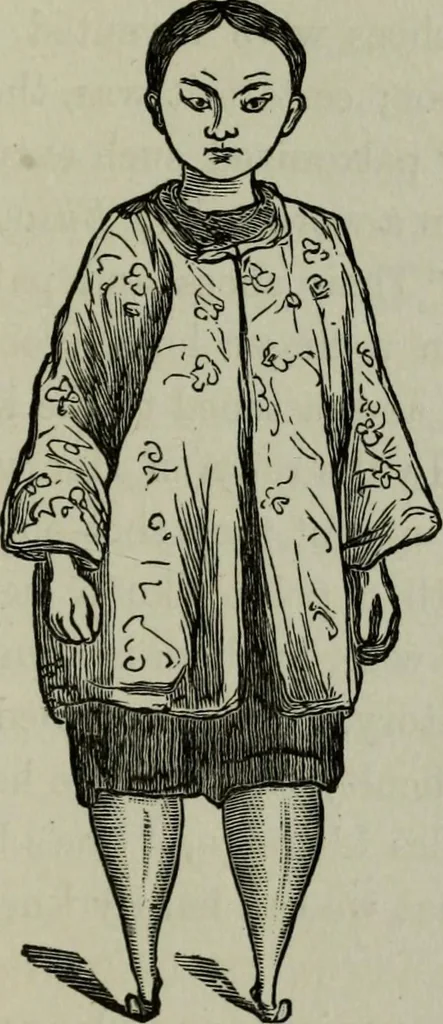 An illustration from Nature's revelations of character, or, Physiognomy illustrated : a description of the mental, moral and volitive dispositions of mankind, as manifested in the human form and countenance, 1887, leaf 550