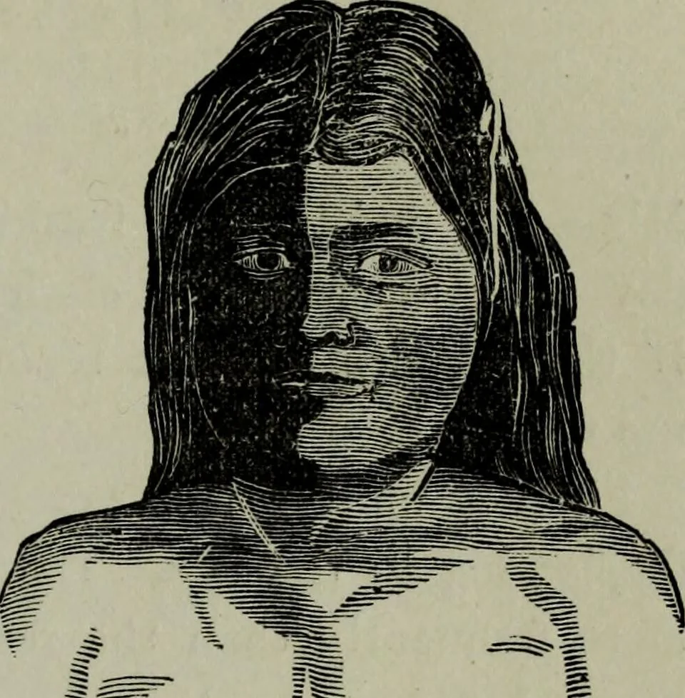 An illustration from Nature's revelations of character, or, Physiognomy illustrated : a description of the mental, moral and volitive dispositions of mankind, as manifested in the human form and countenance, 1887, leaf 560