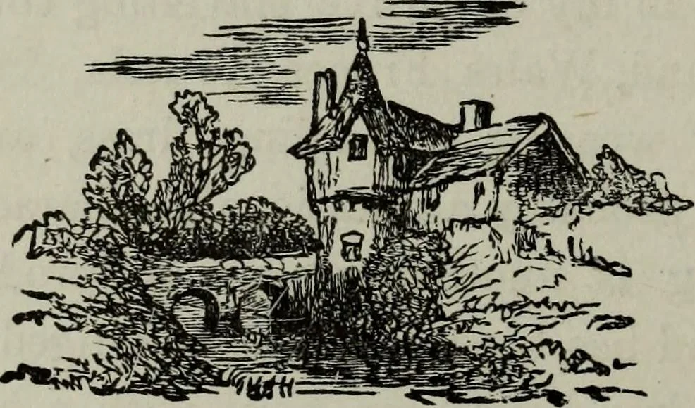 An illustration from Nature's revelations of character, or, Physiognomy illustrated : a description of the mental, moral and volitive dispositions of mankind, as manifested in the human form and countenance, 1887, leaf 565