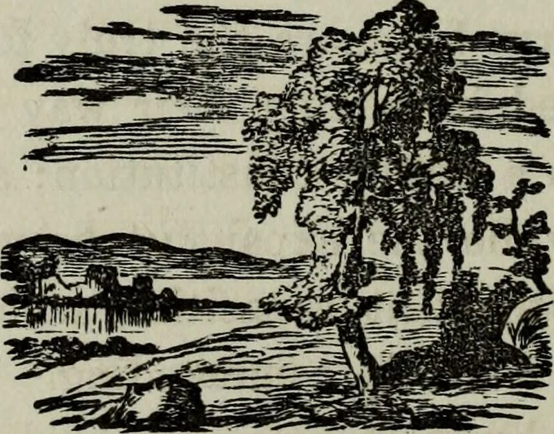 An illustration from Nature's revelations of character, or, Physiognomy illustrated : a description of the mental, moral and volitive dispositions of mankind, as manifested in the human form and countenance, 1887, leaf 585