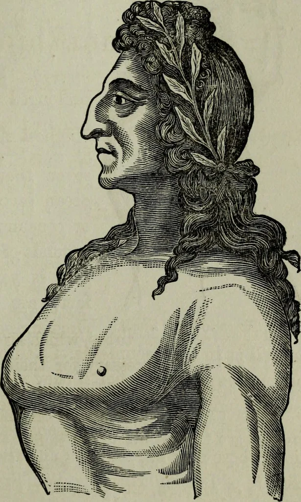 An illustration from Nature's revelations of character, or, Physiognomy illustrated : a description of the mental, moral and volitive dispositions of mankind, as manifested in the human form and countenance, 1887, leaf 84