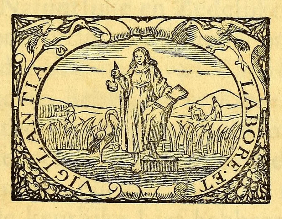 An illustration from Natuurlyke en zedelyke historie van d'eylanden de Voor-Eylanden van Amerika. : Verrijkt met vele schoone platen, die uytheelden d'aller-aanmerkelijkste seldsaamheden die'er in beschreven zijn. : Met eenen Caraïbaanschen Woorden-schat., 1662, leaf 7