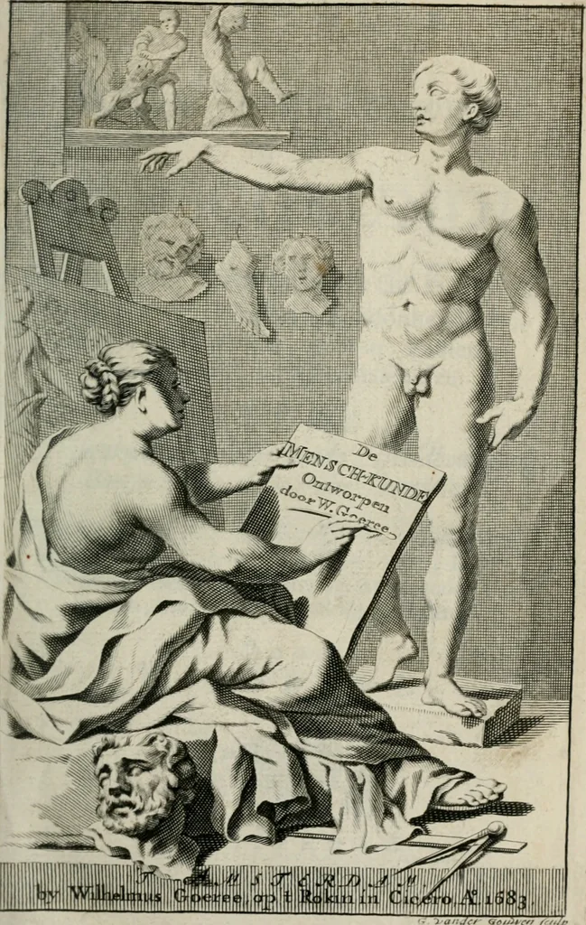 An illustration from Natuurlyk en schilderkonstig ontwerp der menschkunde : leerende niet alleen de kennis van de gestalte, proportie, schoonheyd, muskelen, bewegingen, actien, passien, en welstand der menschbeelden : tot de teykenkunde, schilderkunde, beeldhouwery, bootseer en giet-oeffening toepassen : maar ook hoe sich een mensch na deselve regelen, in allerhande doeningh van gaan, staan, loopen, torssen, dragen, arbeyden, spreken en andere gebeerden : bevallig en verstandilijk aastellen zal, 1683, leaf 2