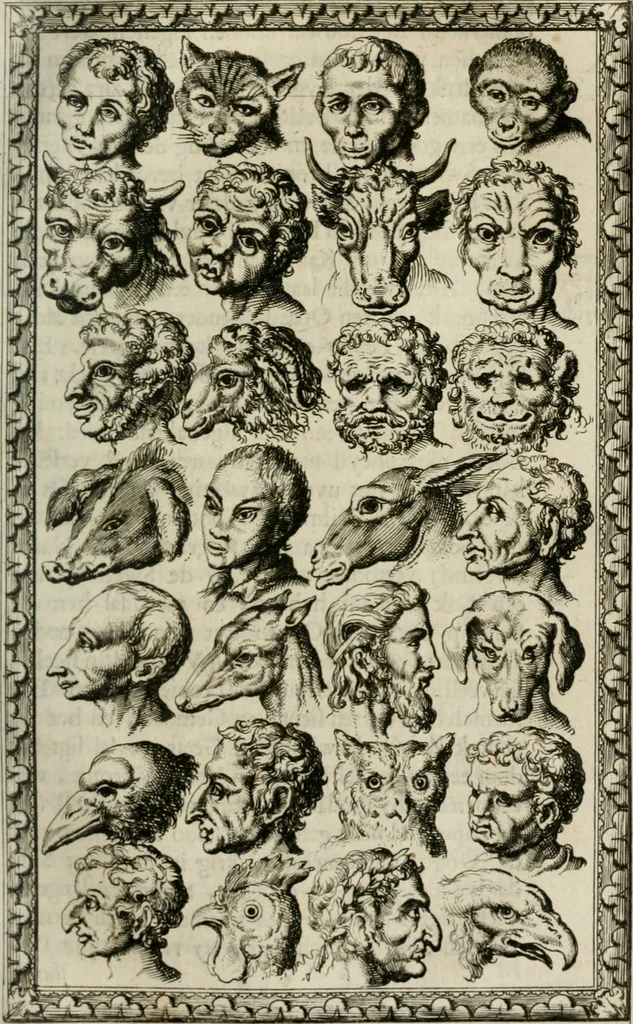 An illustration from Natuurlyk en schilderkonstig ontwerp der menschkunde : leerende niet alleen de kennis van de gestalte, proportie, schoonheyd, muskelen, bewegingen, actien, passien, en welstand der menschbeelden : tot de teykenkunde, schilderkunde, beeldhouwery, bootseer en giet-oeffening toepassen : maar ook hoe sich een mensch na deselve regelen, in allerhande doeningh van gaan, staan, loopen, torssen, dragen, arbeyden, spreken en andere gebeerden : bevallig en verstandilijk aastellen zal, 1683, leaf 214