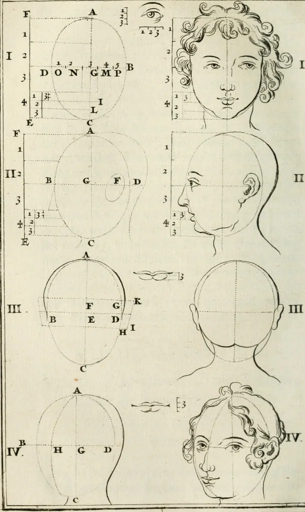An illustration from Natuurlyk en schilderkonstig ontwerp der menschkunde : leerende niet alleen de kennis van de gestalte, proportie, schoonheyd, muskelen, bewegingen, actien, passien, en welstand der menschbeelden : tot de teykenkunde, schilderkunde, beeldhouwery, bootseer en giet-oeffening toepassen : maar ook hoe sich een mensch na deselve regelen, in allerhande doeningh van gaan, staan, loopen, torssen, dragen, arbeyden, spreken en andere gebeerden : bevallig en verstandilijk aastellen zal, 1683, leaf 249