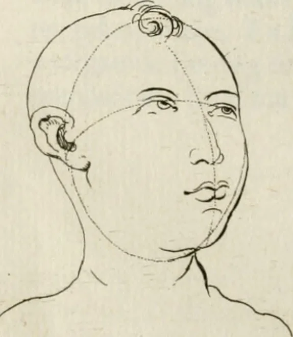 An illustration from Natuurlyk en schilderkonstig ontwerp der menschkunde : leerende niet alleen de kennis van de gestalte, proportie, schoonheyd, muskelen, bewegingen, actien, passien, en welstand der menschbeelden : tot de teykenkunde, schilderkunde, beeldhouwery, bootseer en giet-oeffening toepassen : maar ook hoe sich een mensch na deselve regelen, in allerhande doeningh van gaan, staan, loopen, torssen, dragen, arbeyden, spreken en andere gebeerden : bevallig en verstandilijk aastellen zal, 1683, leaf 263