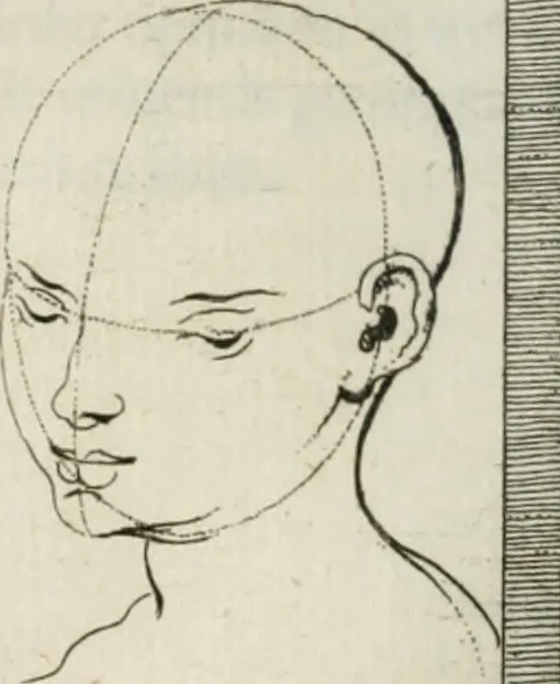 An illustration from Natuurlyk en schilderkonstig ontwerp der menschkunde : leerende niet alleen de kennis van de gestalte, proportie, schoonheyd, muskelen, bewegingen, actien, passien, en welstand der menschbeelden : tot de teykenkunde, schilderkunde, beeldhouwery, bootseer en giet-oeffening toepassen : maar ook hoe sich een mensch na deselve regelen, in allerhande doeningh van gaan, staan, loopen, torssen, dragen, arbeyden, spreken en andere gebeerden : bevallig en verstandilijk aastellen zal, 1683, leaf 263