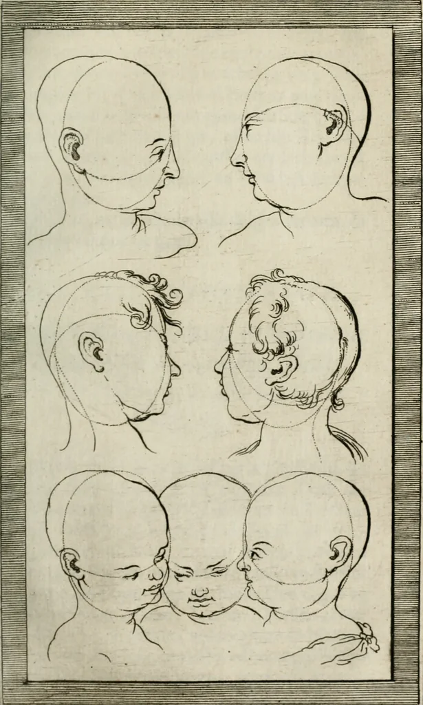 An illustration from Natuurlyk en schilderkonstig ontwerp der menschkunde : leerende niet alleen de kennis van de gestalte, proportie, schoonheyd, muskelen, bewegingen, actien, passien, en welstand der menschbeelden : tot de teykenkunde, schilderkunde, beeldhouwery, bootseer en giet-oeffening toepassen : maar ook hoe sich een mensch na deselve regelen, in allerhande doeningh van gaan, staan, loopen, torssen, dragen, arbeyden, spreken en andere gebeerden : bevallig en verstandilijk aastellen zal, 1683, leaf 266