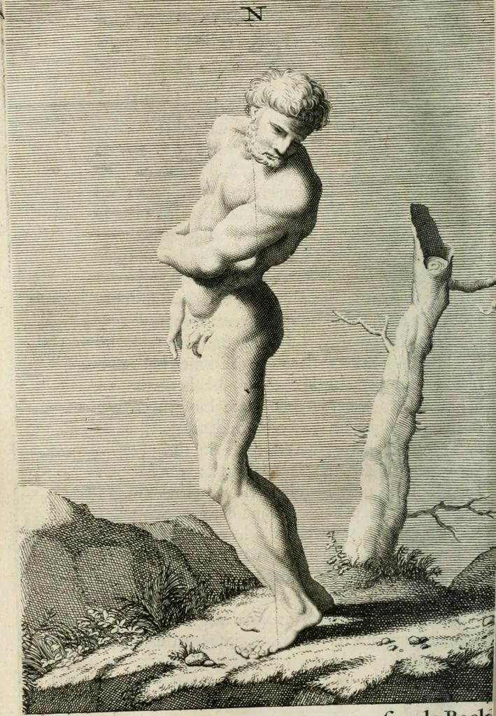 An illustration from Natuurlyk en schilderkonstig ontwerp der menschkunde : leerende niet alleen de kennis van de gestalte, proportie, schoonheyd, muskelen, bewegingen, actien, passien, en welstand der menschbeelden : tot de teykenkunde, schilderkunde, beeldhouwery, bootseer en giet-oeffening toepassen : maar ook hoe sich een mensch na deselve regelen, in allerhande doeningh van gaan, staan, loopen, torssen, dragen, arbeyden, spreken en andere gebeerden : bevallig en verstandilijk aastellen zal, 1683, leaf 327