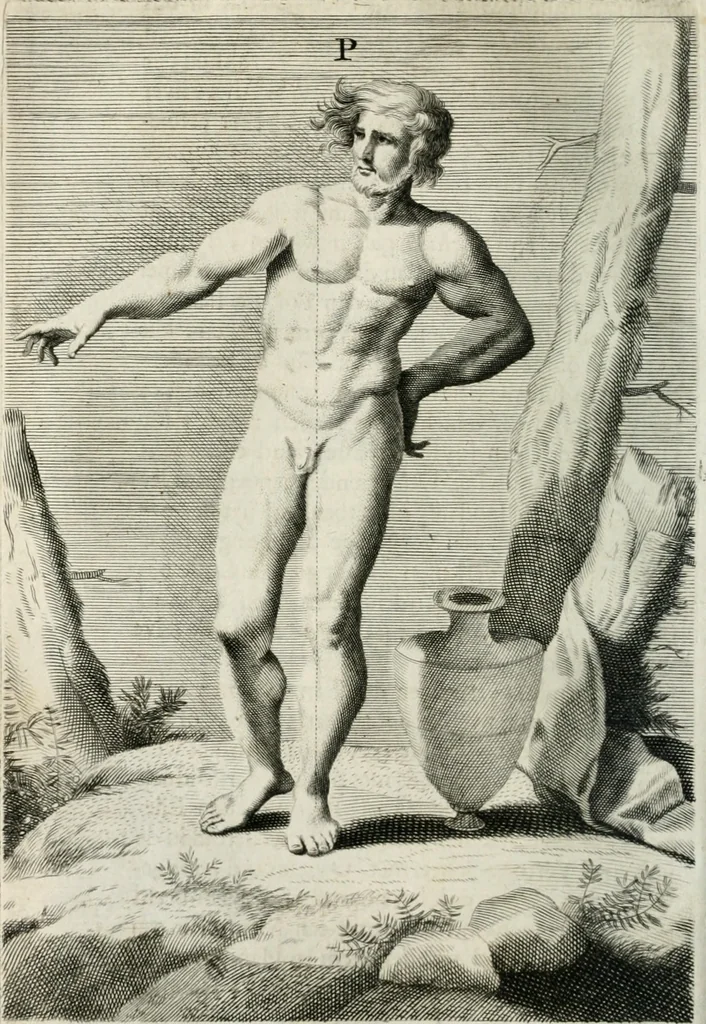 An illustration from Natuurlyk en schilderkonstig ontwerp der menschkunde : leerende niet alleen de kennis van de gestalte, proportie, schoonheyd, muskelen, bewegingen, actien, passien, en welstand der menschbeelden : tot de teykenkunde, schilderkunde, beeldhouwery, bootseer en giet-oeffening toepassen : maar ook hoe sich een mensch na deselve regelen, in allerhande doeningh van gaan, staan, loopen, torssen, dragen, arbeyden, spreken en andere gebeerden : bevallig en verstandilijk aastellen zal, 1683, leaf 329