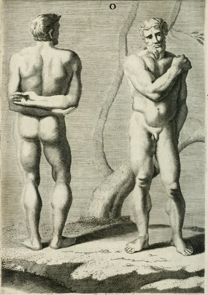 An illustration from Natuurlyk en schilderkonstig ontwerp der menschkunde : leerende niet alleen de kennis van de gestalte, proportie, schoonheyd, muskelen, bewegingen, actien, passien, en welstand der menschbeelden : tot de teykenkunde, schilderkunde, beeldhouwery, bootseer en giet-oeffening toepassen : maar ook hoe sich een mensch na deselve regelen, in allerhande doeningh van gaan, staan, loopen, torssen, dragen, arbeyden, spreken en andere gebeerden : bevallig en verstandilijk aastellen zal, 1683, leaf 331