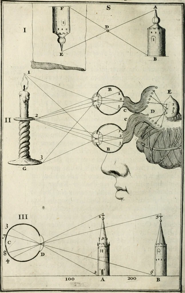 An illustration from Natuurlyk en schilderkonstig ontwerp der menschkunde : leerende niet alleen de kennis van de gestalte, proportie, schoonheyd, muskelen, bewegingen, actien, passien, en welstand der menschbeelden : tot de teykenkunde, schilderkunde, beeldhouwery, bootseer en giet-oeffening toepassen : maar ook hoe sich een mensch na deselve regelen, in allerhande doeningh van gaan, staan, loopen, torssen, dragen, arbeyden, spreken en andere gebeerden : bevallig en verstandilijk aastellen zal, 1683, leaf 403