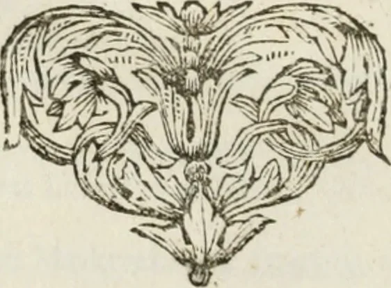 An illustration from Natuurlyk en schilderkonstig ontwerp der menschkunde : leerende niet alleen de kennis van de gestalte, proportie, schoonheyd, muskelen, bewegingen, actien, passien, en welstand der menschbeelden : tot de teykenkunde, schilderkunde, beeldhouwery, bootseer en giet-oeffening toepassen : maar ook hoe sich een mensch na deselve regelen, in allerhande doeningh van gaan, staan, loopen, torssen, dragen, arbeyden, spreken en andere gebeerden : bevallig en verstandilijk aastellen zal, 1683, leaf 501