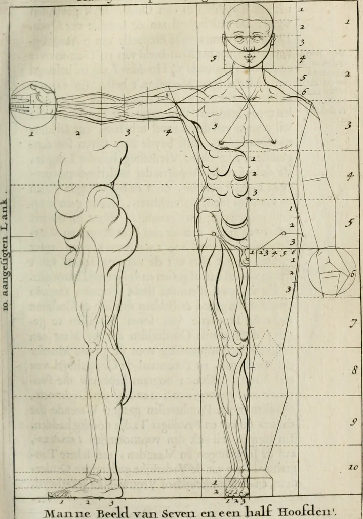 An illustration from Natuurlyk en schilderkonstig ontwerp der menschkunde : leerende niet alleen de kennis van de gestalte, proportie, schoonheyd, muskelen, bewegingen, actien, passien, en welstand der menschbeelden : tot de teykenkunde, schilderkunde, beeldhouwery, bootseer en giet-oeffening toepassen : maar ook hoe sich een mensch na deselve regelen, in allerhande doeningh van gaan, staan, loopen, torssen, dragen, arbeyden, spreken en andere gebeerden : bevallig en verstandilijk aastellen zal, 1683, leaf 92