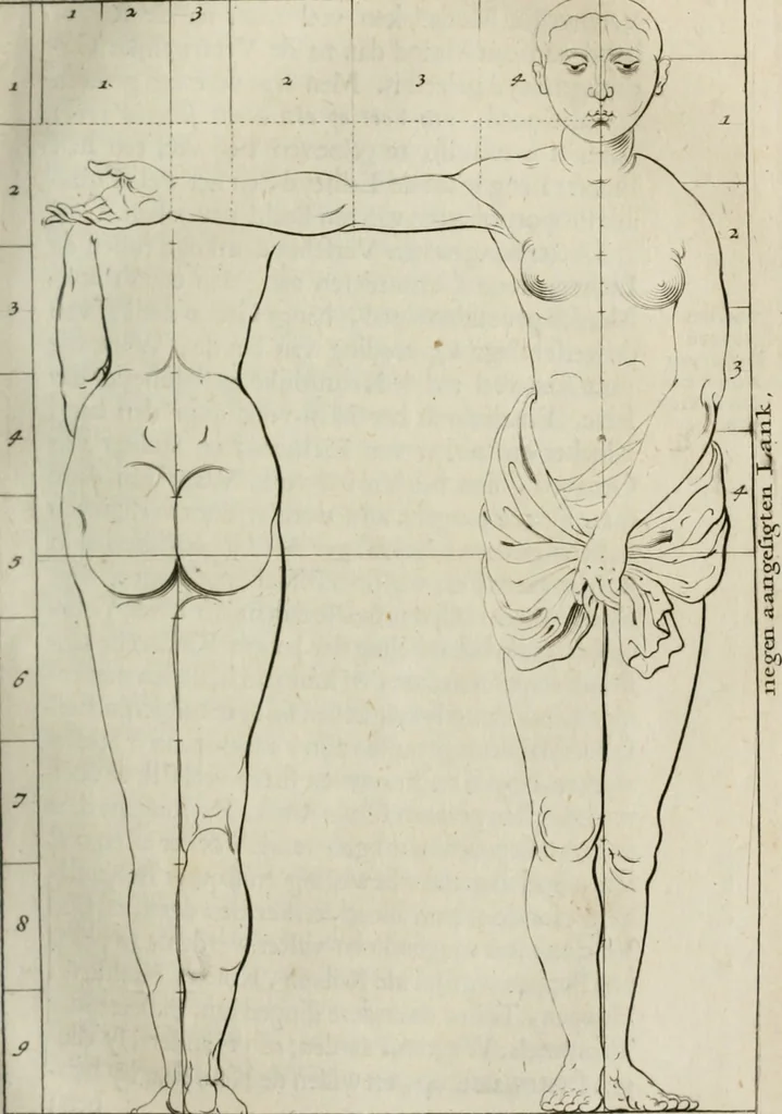 An illustration from Natuurlyk en schilderkonstig ontwerp der menschkunde : leerende niet alleen de kennis van de gestalte, proportie, schoonheyd, muskelen, bewegingen, actien, passien, en welstand der menschbeelden : tot de teykenkunde, schilderkunde, beeldhouwery, bootseer en giet-oeffening toepassen : maar ook hoe sich een mensch na deselve regelen, in allerhande doeningh van gaan, staan, loopen, torssen, dragen, arbeyden, spreken en andere gebeerden : bevallig en verstandilijk aastellen zal, 1683, leaf 94