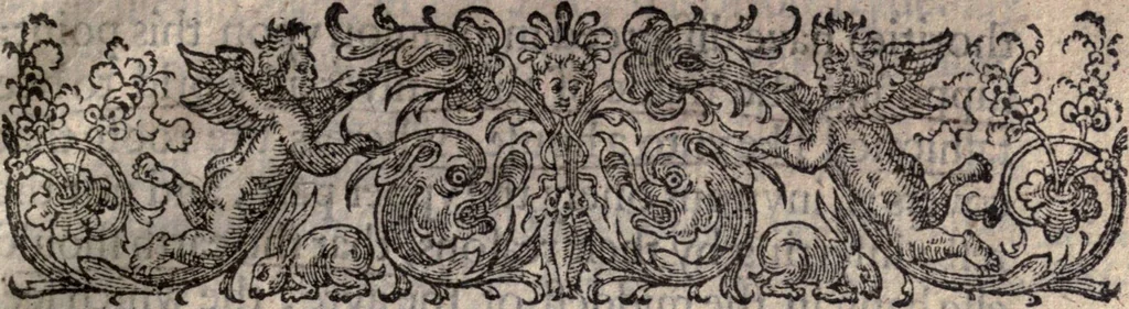 An illustration from The natvrall and morall historie of the East and West Indies, 1604, leaf 14