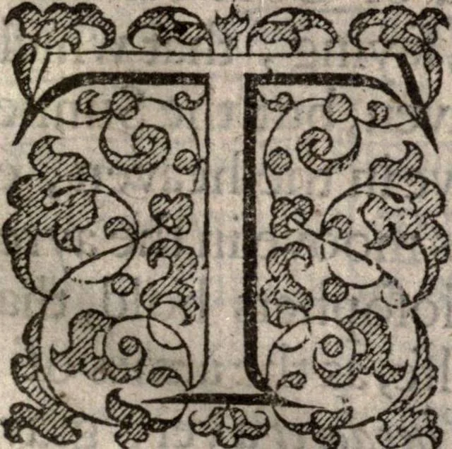 An illustration from The natvrall and morall historie of the East and West Indies, 1604, leaf 14