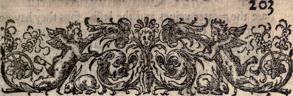 An illustration from The natvrall and morall historie of the East and West Indies, 1604, leaf 218