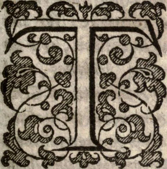 An illustration from The natvrall and morall historie of the East and West Indies, 1604, leaf 344
