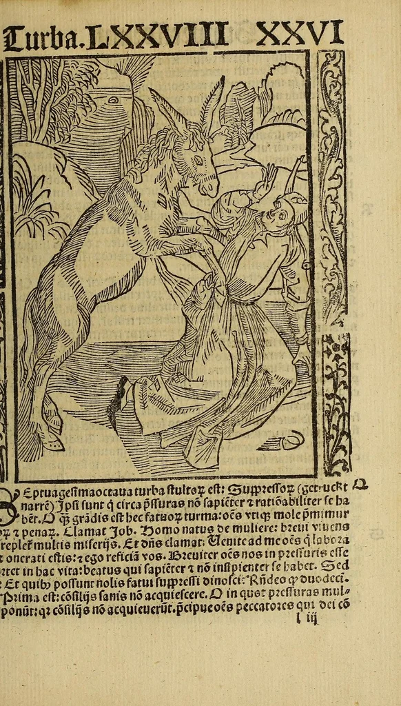 An illustration from Nauicula siue speculu[m] fatuor[um] ... Joannis Geyler Keysersbergii ... in sermones iuxta turmarum seriem diuisa ... a Jacobo Othero diligenter collecta. Compendiosa vite eiusdem descriptio, per Beatum Rhenanum Selestatinum. ., 1511, leaf 405