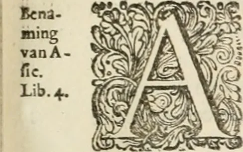 An illustration from Naukeurige beschryving van Asie; behelsende de gewesten van Mesopotamie, Babylonie, Assyrie, Anatolie, of Klein Asie, beneffens eene volkome beschrijving van gansch Gelukkigh, Woest, en Petreesch of Steenigh Arabie.., 1680, leaf 298