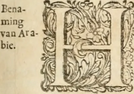 An illustration from Naukeurige beschryving van Asie; behelsende de gewesten van Mesopotamie, Babylonie, Assyrie, Anatolie, of Klein Asie, beneffens eene volkome beschrijving van gansch Gelukkigh, Woest, en Petreesch of Steenigh Arabie.., 1680, leaf 396