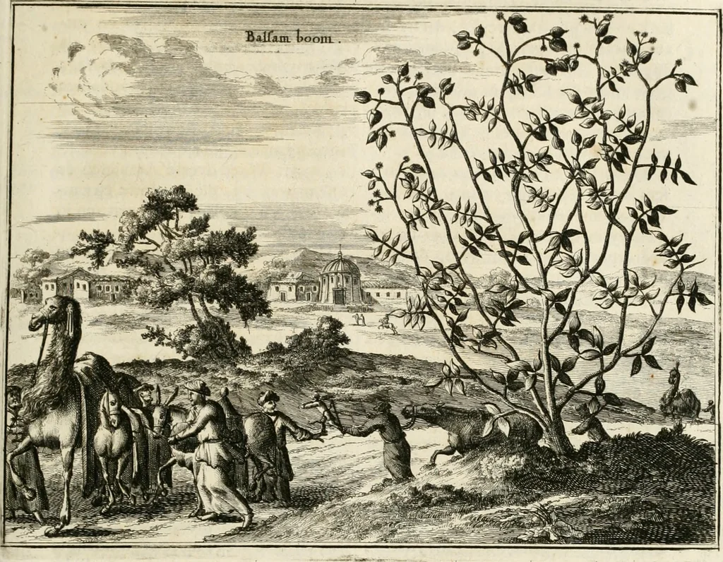 An illustration from Naukeurige beschryving van Asie; behelsende de gewesten van Mesopotamie, Babylonie, Assyrie, Anatolie, of Klein Asie, beneffens eene volkome beschrijving van gansch Gelukkigh, Woest, en Petreesch of Steenigh Arabie.., 1680, leaf 460