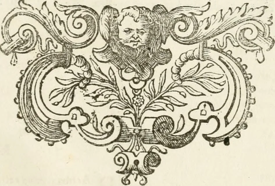 An illustration from Naukeurige beschryving van Asie; behelsende de gewesten van Mesopotamie, Babylonie, Assyrie, Anatolie, of Klein Asie, beneffens eene volkome beschrijving van gansch Gelukkigh, Woest, en Petreesch of Steenigh Arabie.., 1680, leaf 732