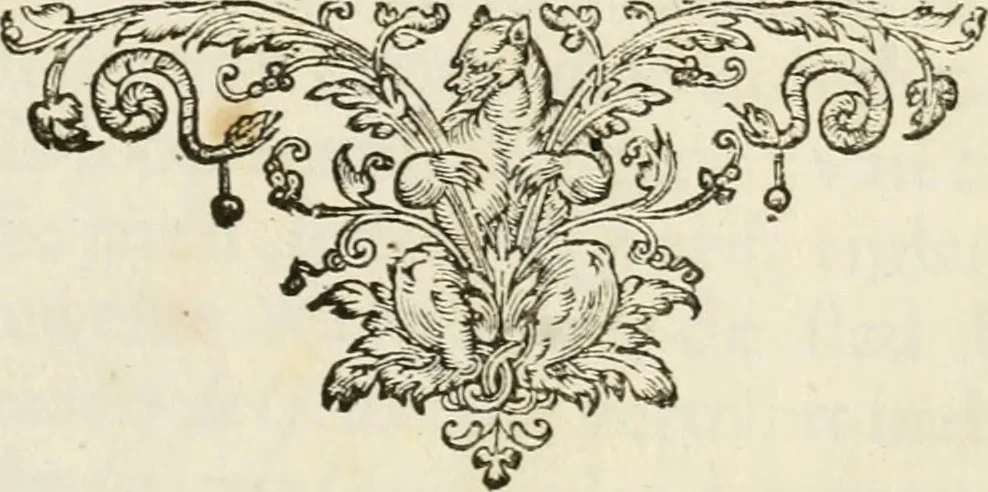 An illustration from Naukeurige beschryving van Asie; behelsende de gewesten van Mesopotamie, Babylonie, Assyrie, Anatolie, of Klein Asie, beneffens eene volkome beschrijving van gansch Gelukkigh, Woest, en Petreesch of Steenigh Arabie.., 1680, leaf 8
