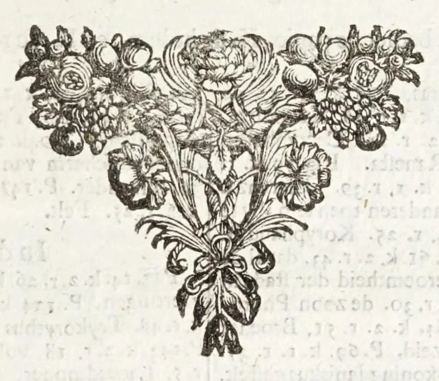 An illustration from Naukeurige beschryving van Morea, eertijts Peloponnesus; en de eilanden, gelegen onder de kusten van Morea, en binnen en buiten de golf van Venetien: waer onder de voornaemste Korfu, Cefalonia, Sant Maura, Zanten, en andere in grooten getale. Behelzende derzelver landschappen, steden, rivieren, poelen, bergen, gewassen, dieren, &c. Met de kaerten van Morea, golf van Venetien, en verscheide eilanden: beneffens afbeeldingen van steden en kastelen, als Patrasso, Modon, Koron, Navarino, Napoli di Romania en Malvasia, Korinthen, Misitra, &c, 1688, leaf 301